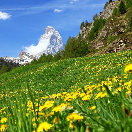 Apartment Obri Tuftra-7 By Interhome Zermatt Luaran gambar