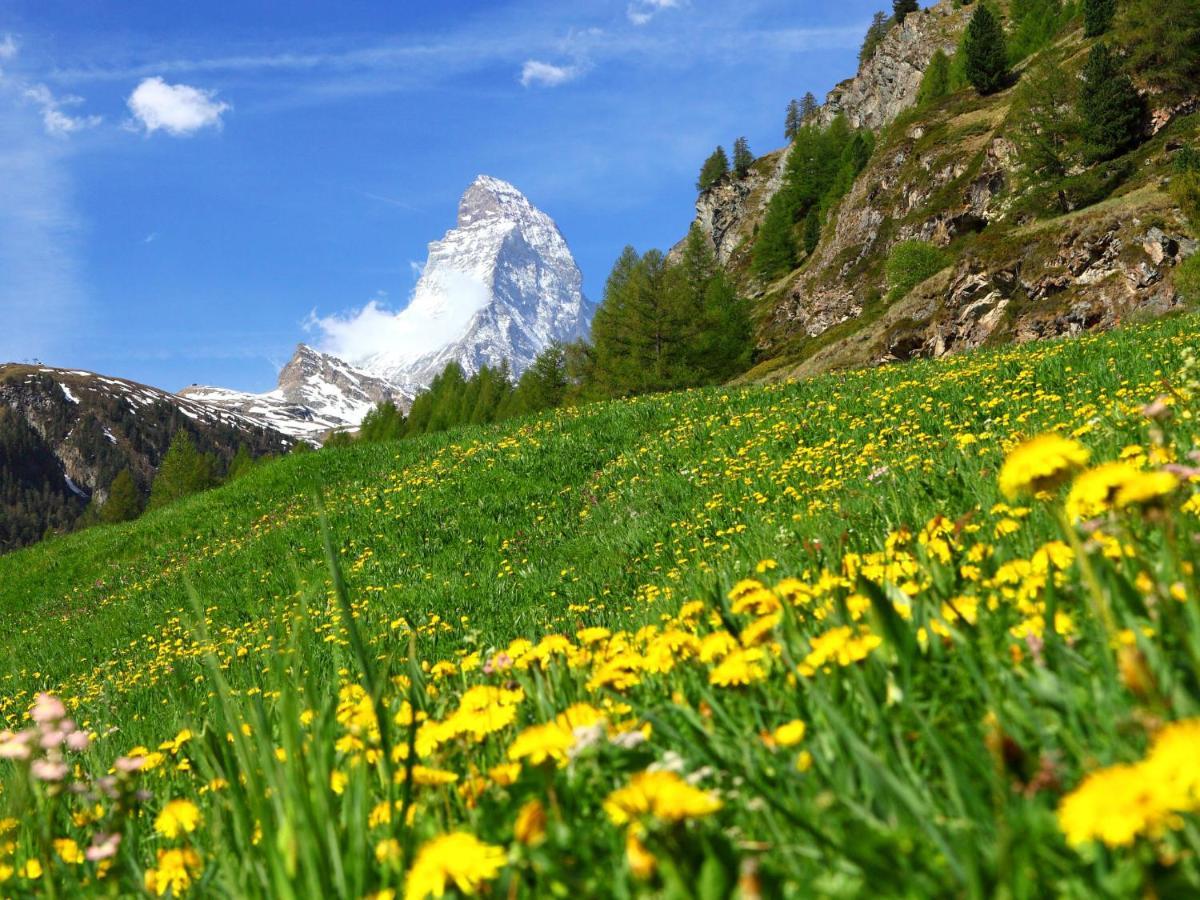 Apartment Obri Tuftra-7 By Interhome Zermatt Luaran gambar